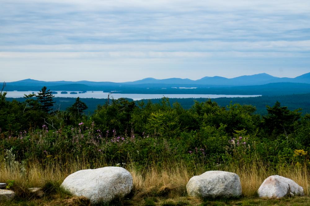Mountains and trees in background under cloudy sky, rocks and tall grass in foreground, at Katahdin Woods and Waters National Monument, Maine